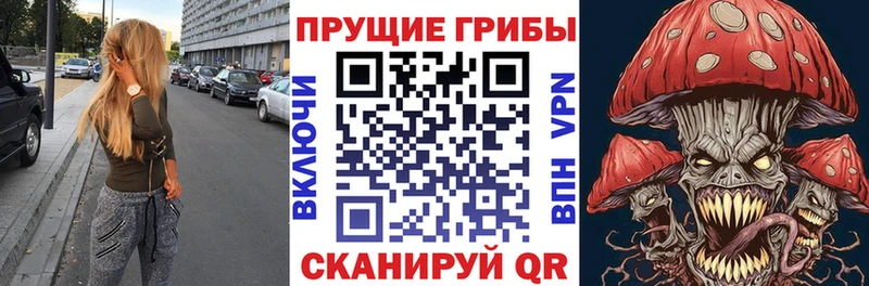 Псилоцибиновые грибы GOLDEN TEACHER  это формула  Заволжье  как найти наркотики 