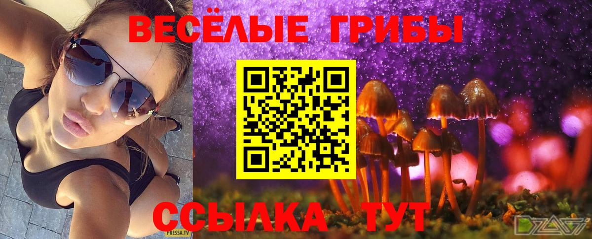 где найти   Вход с VPN  Заволжье  Галлюциногенные грибы мухоморы 