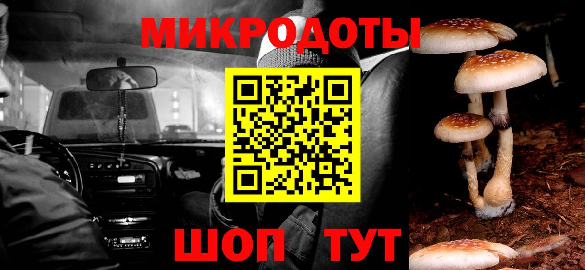 Галлюциногенные грибы Magic Shrooms Заволжье